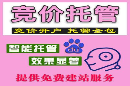 快手平台信息流广告的创意展示与效果评估